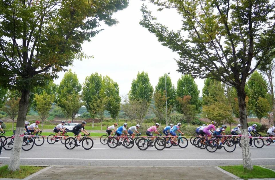 kpoRj, 报名, basel