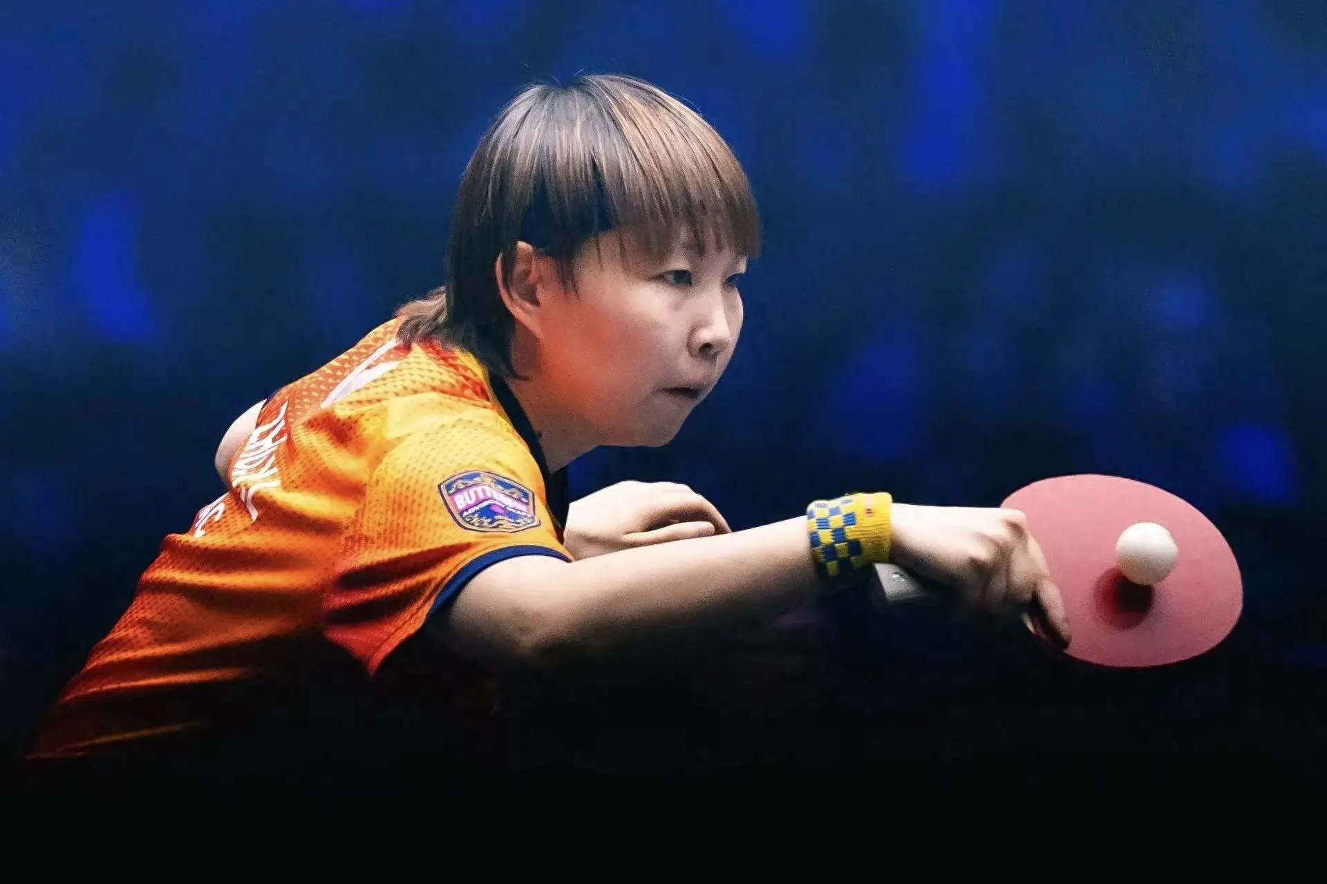 日本涂料的, 雨玲, 季拿下美国